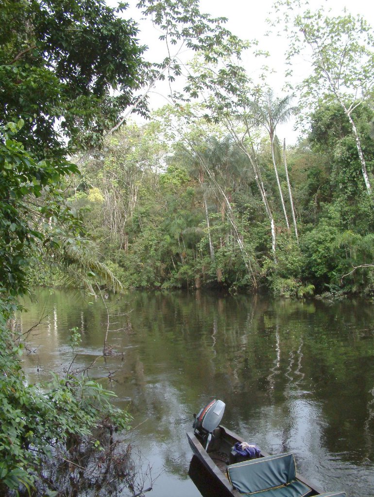 04-The Rio Cuyabena near our eco lodge.jpg - The Rio Cuyabena near our eco lodge